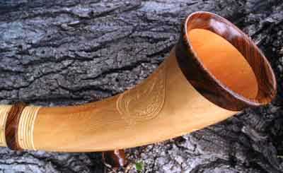 Alphorn with Bocote Highlights